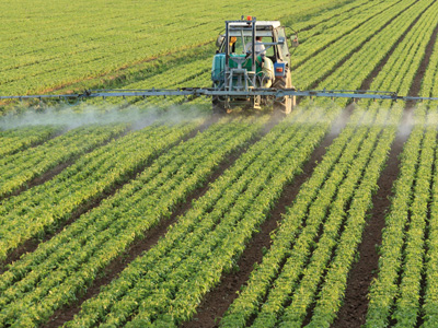 Agricoltura